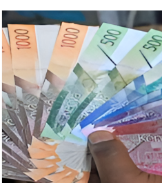 Banking, Securities and Debt Recovery